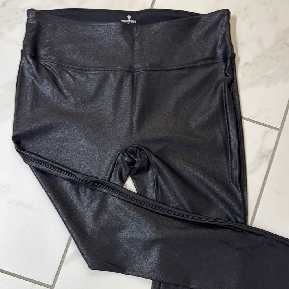 Santiny faux leather or shiny leggings.   Size large